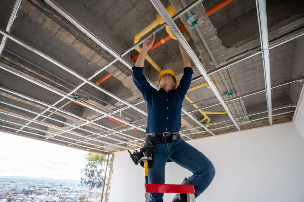 Best Toilet Repair Services  in Paul, ID